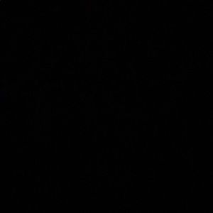 Meet your Posher, Sheena